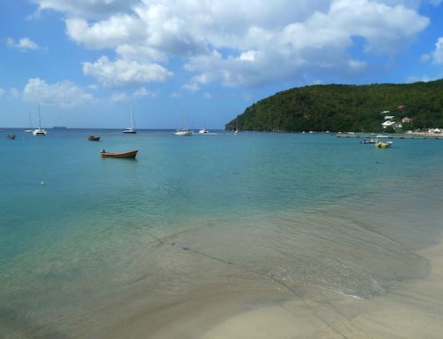 Petite Anse d’Arlet