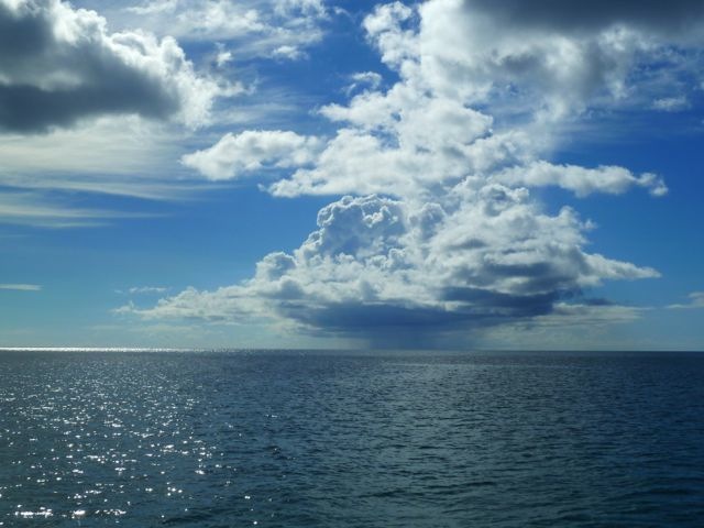 chaguaramas51