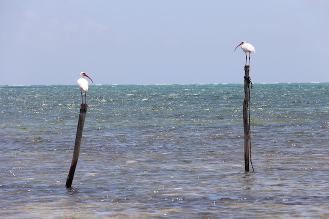 bahiaespiritusanto01