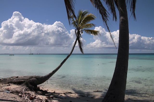 Tuamotus | Raroia – 138