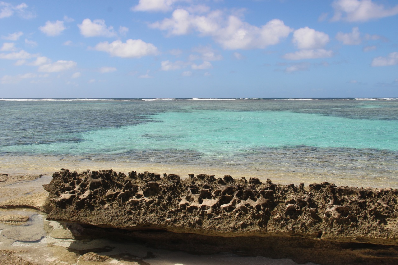 Tonga | Vavau Group | Maninita – 059