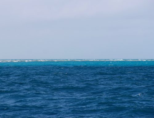 Mundos paralelos