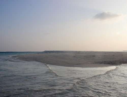 Kudafarufasgandu
