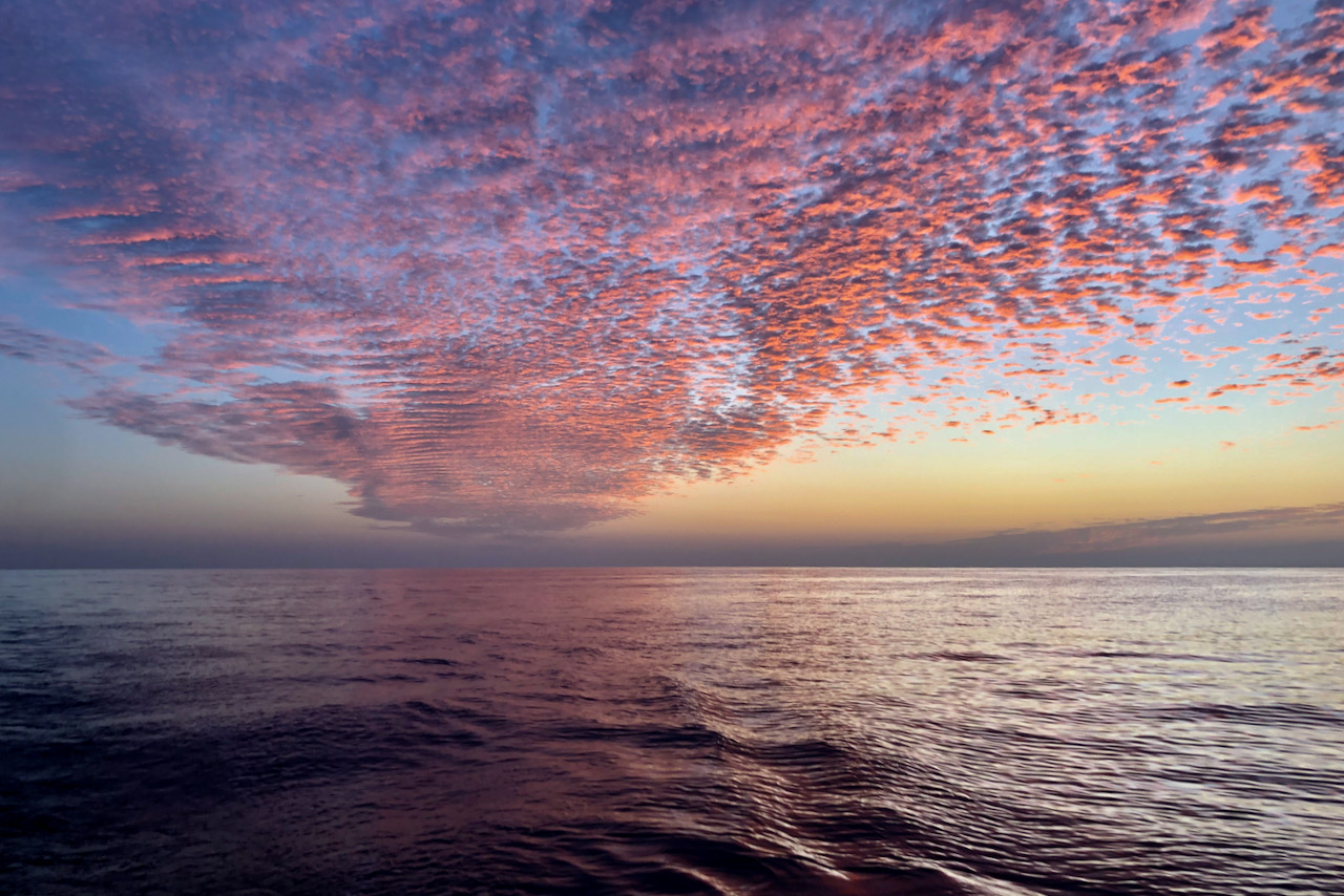 Red Sea Revier Info